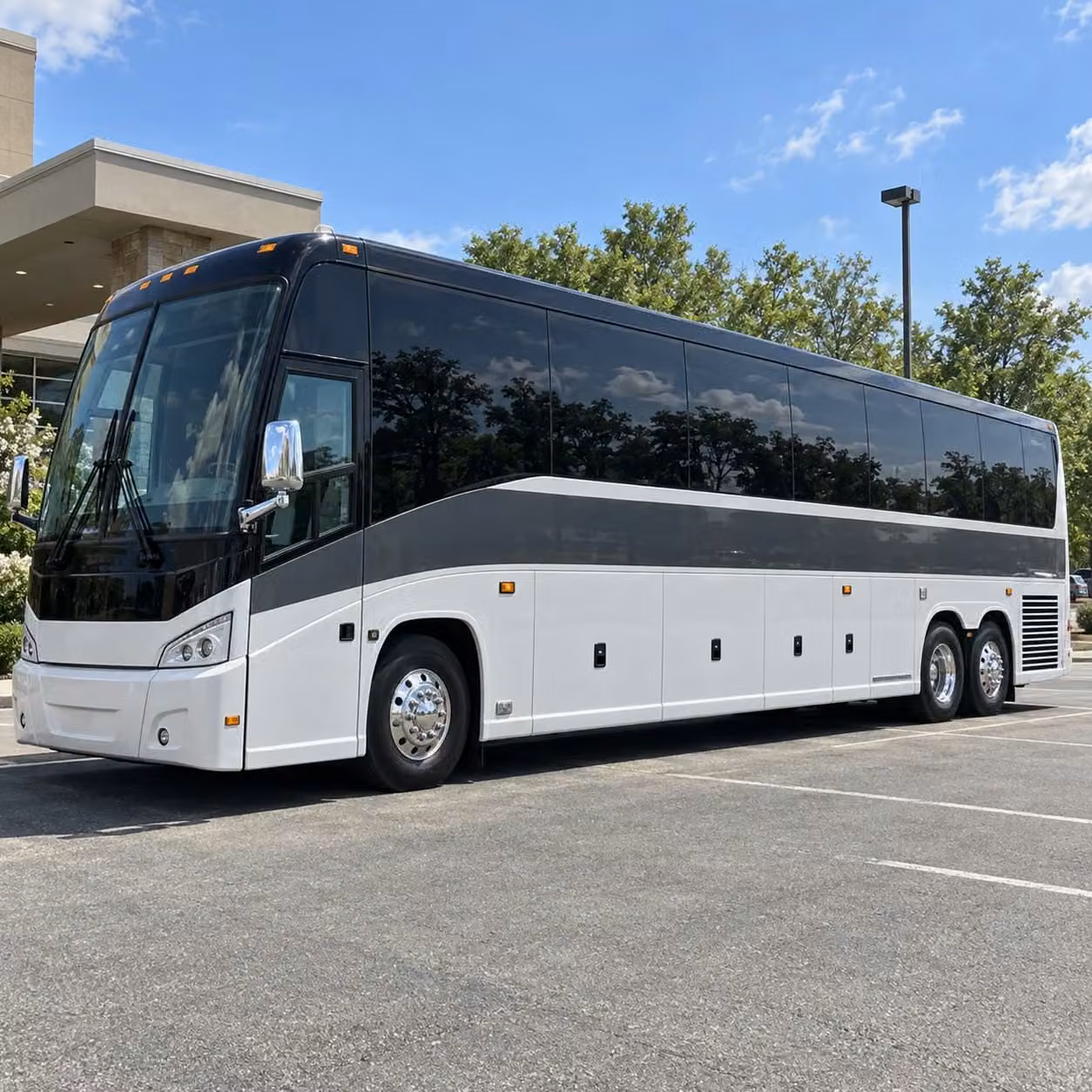 bachelorette parties birthday celebrations and night out bus rentals in clifton